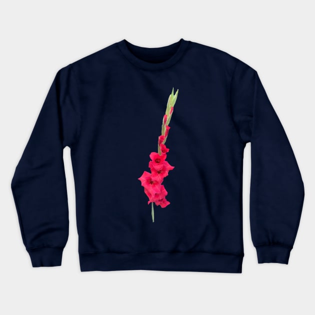 Gladiolus Crewneck Sweatshirt by Amanda1775